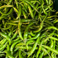 Rocket Chilli (Very Hot) 250g