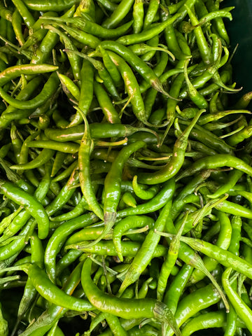 Rocket Chilli (Very Hot) 250g
