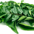 Curry Leaves