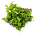 Mint Bunch