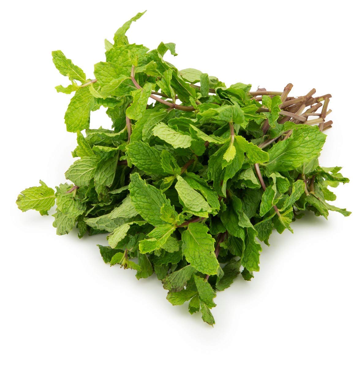 Mint Bunch