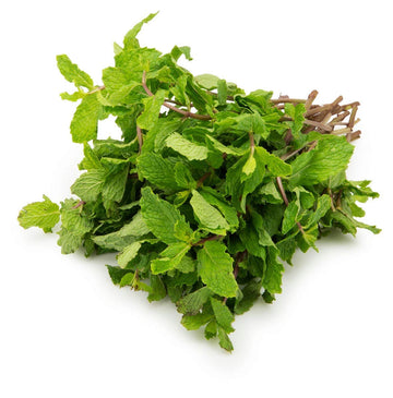 Mint Bunch