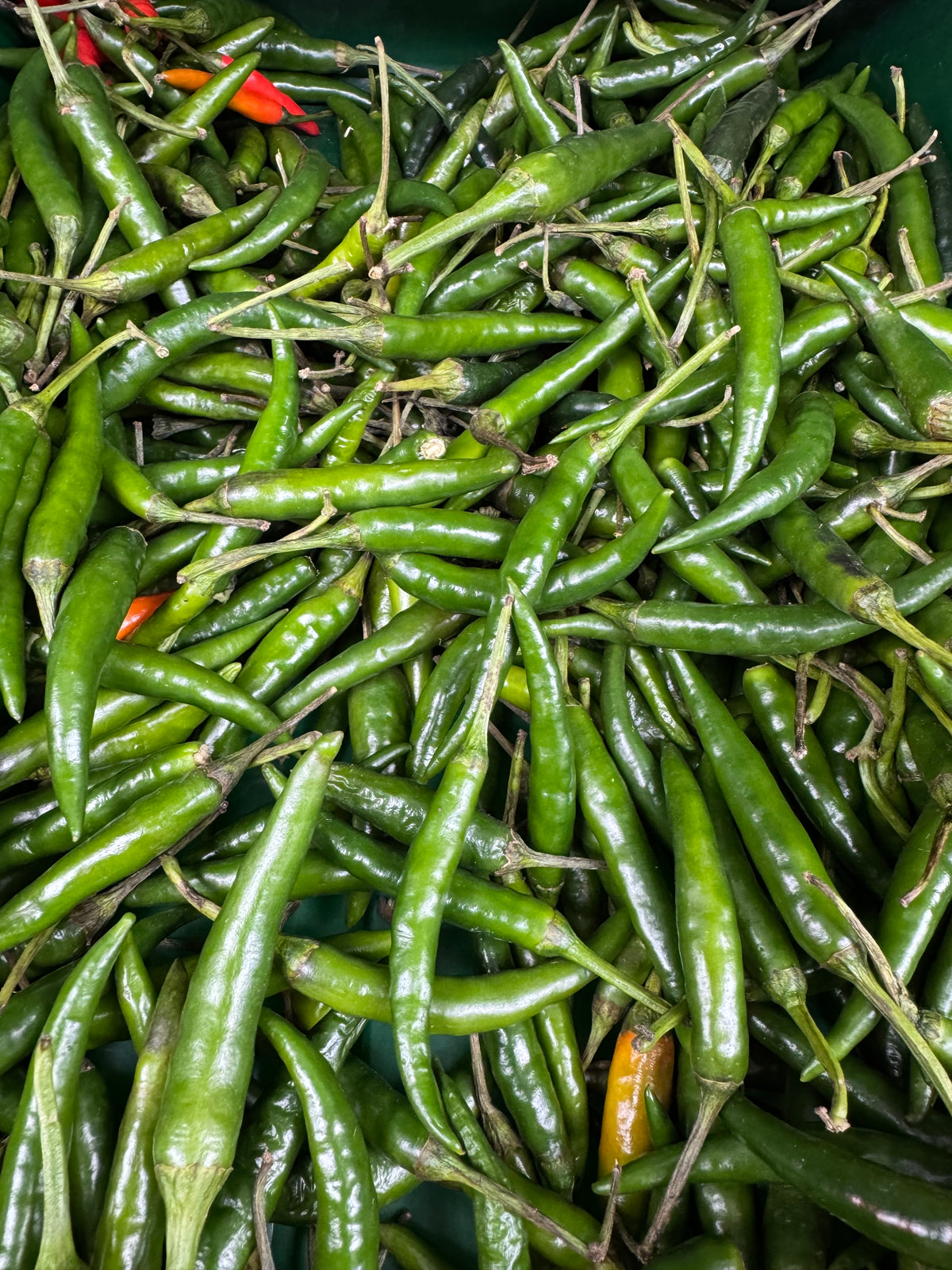 Fresh Green Chilli Normal 250g