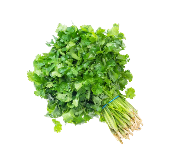Coriander (Dhaniya) Bunch