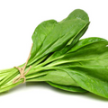 Spinach Bunch