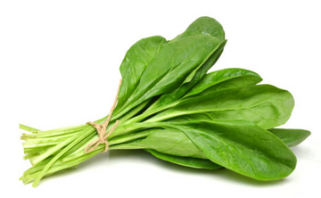 Spinach Bunch