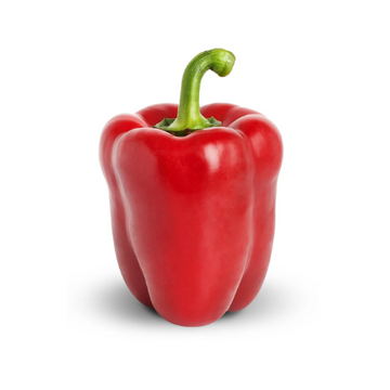 Red Capsicum